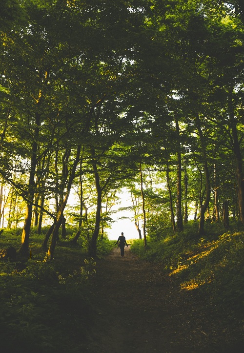 Forest at alcohol rehab in Portsmouth